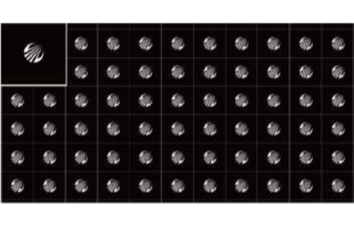 尊龙凯时人生就是搏(中国区)官方网站