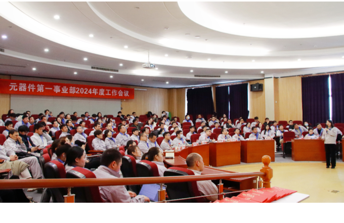 砥砺前行  再启新章 | 尊龙凯时人生就是搏光电元器件第一事业部2024年度事情聚会